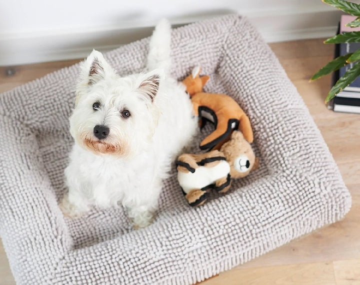 Kazoo Dog Toy Tough Kangaroo-Dog Toys-Ascot Saddlery