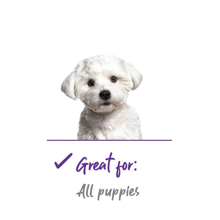 Kazoo Grooming Nail Puppy-Dog Grooming & Coat Care-Ascot Saddlery