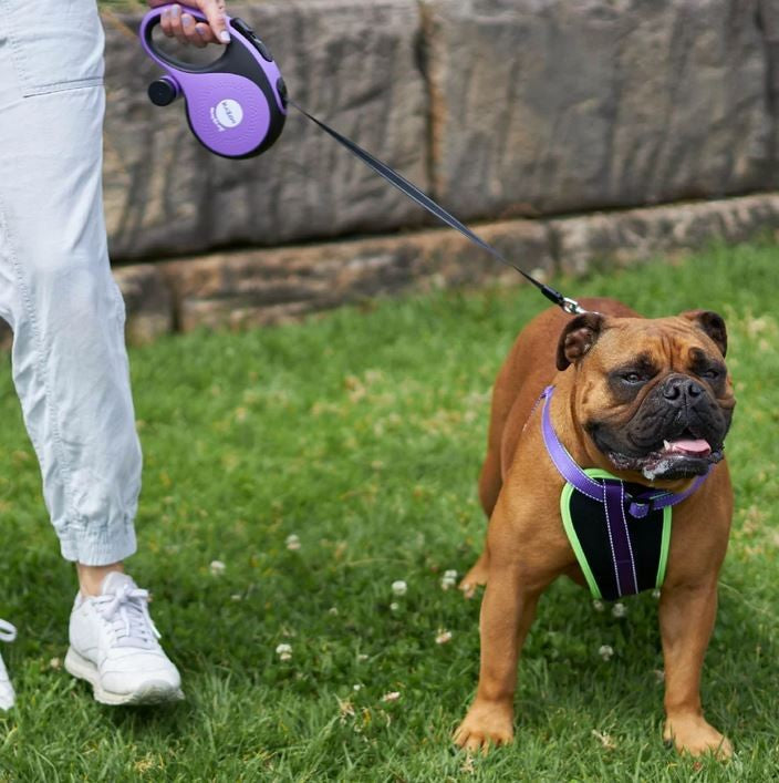 Kazoo Retractable Lead With Poop Bag Dispenser Extra Large-Dog Collars & Leads-Ascot Saddlery