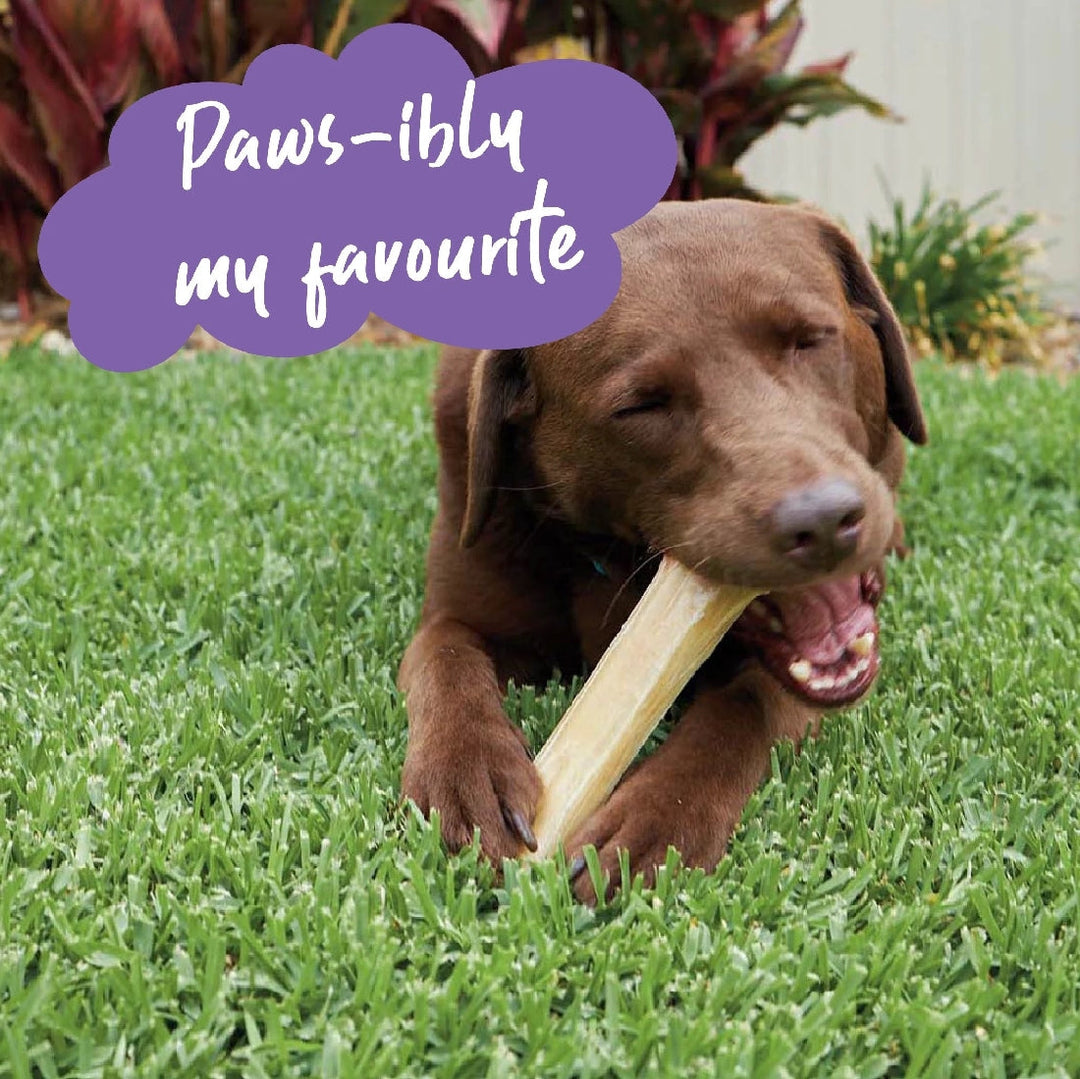 Kazoo Treat Rawhide Pressed Bone 30cm Pack Of 1-Dog Treats-Ascot Saddlery