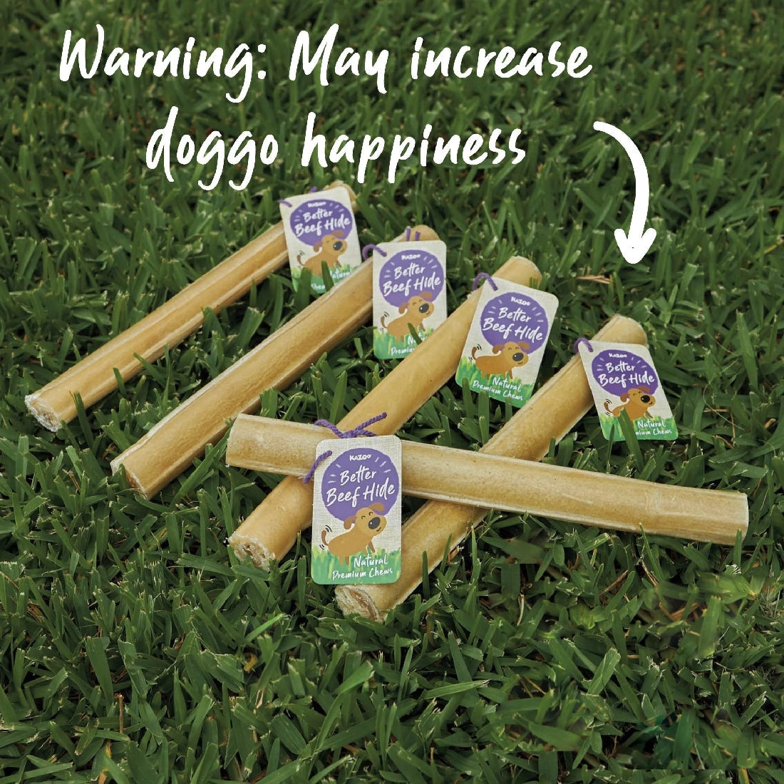 Kazoo Treat Rawhide Pressed Stick 20cm Pack Of 10-Dog Treats-Ascot Saddlery