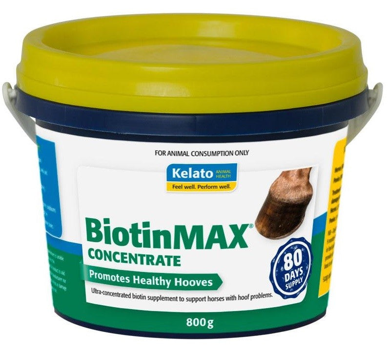 Kelato Biotinmax Concentrate 800mg-STABLE: Supplements-Ascot Saddlery