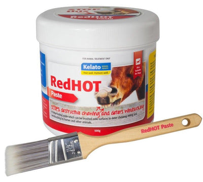 Kelato Red Hot Paste 500gm-STABLE: First Aid & Dressings-Ascot Saddlery