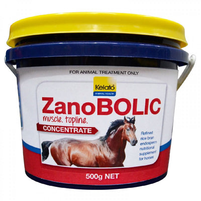 Kelato Zanobolic 500gm-STABLE: Supplements-Ascot Saddlery