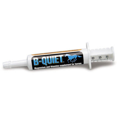 Kentucky Equine Research B Quiet Paste 2pack 2 X 30gm-STABLE: Supplements-Ascot Saddlery