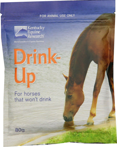 Kentucky Equine Research Drink Up 80gm Sachet-STABLE: Supplements-Ascot Saddlery