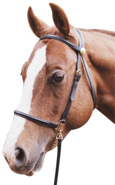 Led In Bridle & Chain Lead Leather Black-HORSE: Bridles-Ascot Saddlery