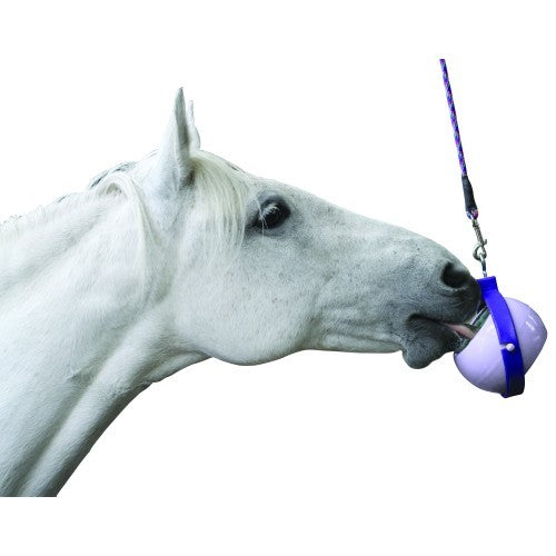 Likit Boredom Buster-STABLE: Horse Treats & Toys-Ascot Saddlery