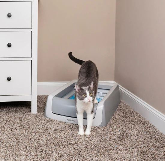 Littertray Scoopfree 2nd Generation-Cat Litter & Accessories-Ascot Saddlery