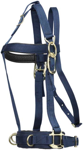 Lunge Cavesson Deluxe Zilco Navy Full-HORSE: Lungeing & Schooling-Ascot Saddlery