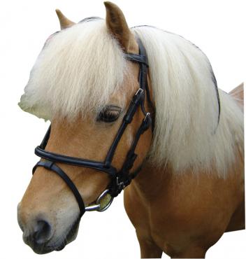 Minature Bridle Cavesson Leather-HORSE: Bridles-Ascot Saddlery