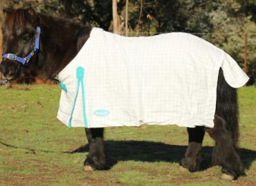 Minature Summer Check Rug-RUGS: Summer Rugs, Neck Rugs & Hoods-Ascot Saddlery
