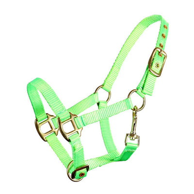 Mini Headstall Webbing Piccolo Fluro Green-HORSE: Headstalls-Ascot Saddlery