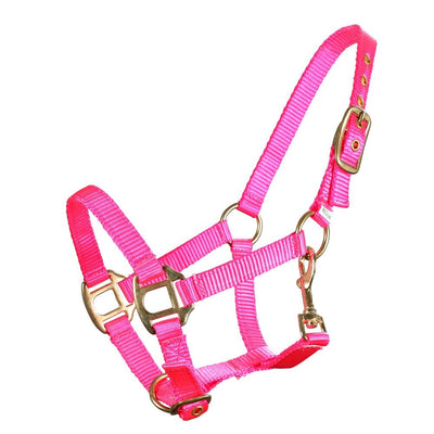 Mini Headstall Webbing Piccolo Fluro Pink-HORSE: Headstalls-Ascot Saddlery