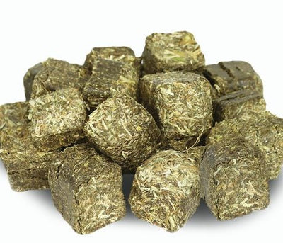 Multi Cube Pasture Clover & Rye & Oaten Hay Cubes 20kg-STABLE: Horse Feed-Ascot Saddlery