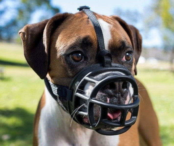 Muzzle Dog Baskerville Ultra Size-Dog Accessories-Ascot Saddlery