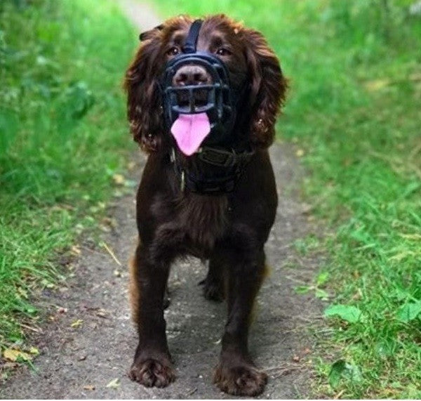 Muzzle Dog Baskerville Ultra Size-Dog Accessories-Ascot Saddlery