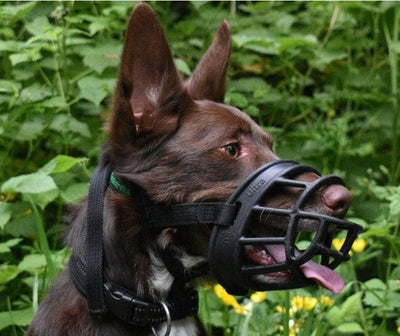 Muzzle Dog Baskerville Ultra Size-Dog Accessories-Ascot Saddlery