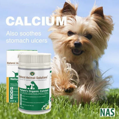 Natural Animal Solutions Calcium Natures 200gm-Dog Potions & Lotions-Ascot Saddlery