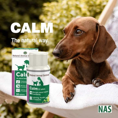 Natural Animal Solutions Calm 30 Tablets-Dog Potions & Lotions-Ascot Saddlery