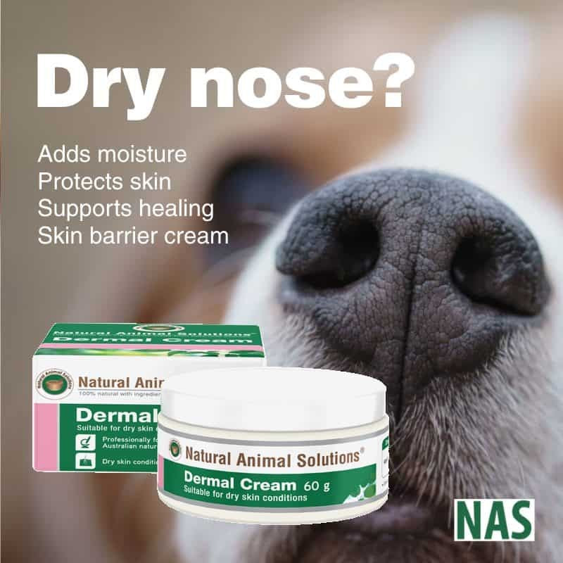 Natural Animal Solutions Dermal Cream 60gm-Dog Potions & Lotions-Ascot Saddlery