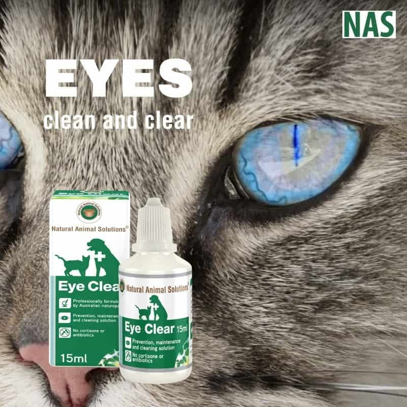 Natural Animal Solutions Eye Clear 15ml-Dog Grooming & Coat Care-Ascot Saddlery