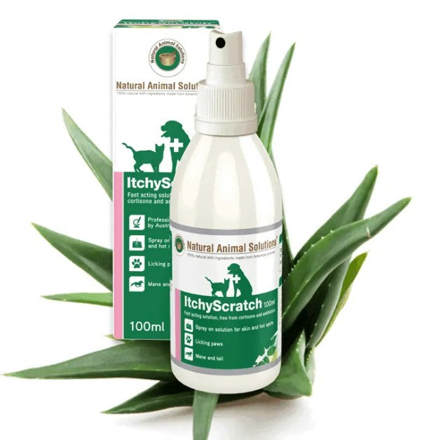Natural Animal Solutions Itchyscratch 100ml-Dog Potions & Lotions-Ascot Saddlery