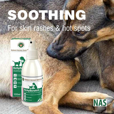 Natural Animal Solutions Itchyscratch 100ml-Dog Potions & Lotions-Ascot Saddlery