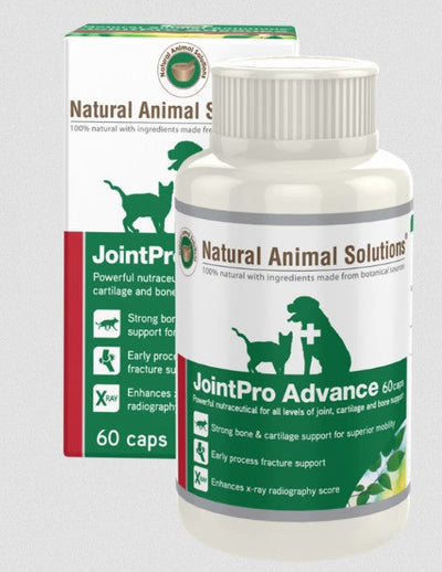 Natural Animal Solutions Jointpro Advance 60 Caps-Dog Potions & Lotions-Ascot Saddlery