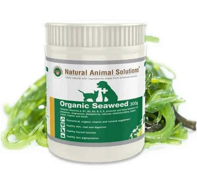 Natural Animal Solutions Organic Seaweed 300gm-Dog Potions & Lotions-Ascot Saddlery