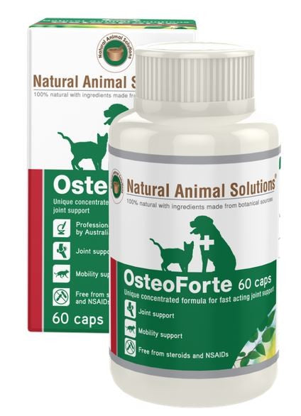 Natural Animal Solutions Osteoforte 60 Caps-Dog Potions & Lotions-Ascot Saddlery