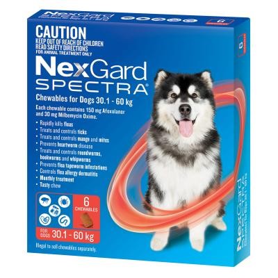 Nexgard Spectra Dog 30.1kg-60kg 6 Pack-Dog Wormer & Flea-Ascot Saddlery