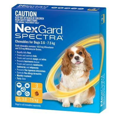 Nexgard Spectra Dog 3.6kg-7.5kg 3 Pack-Dog Wormer & Flea-Ascot Saddlery