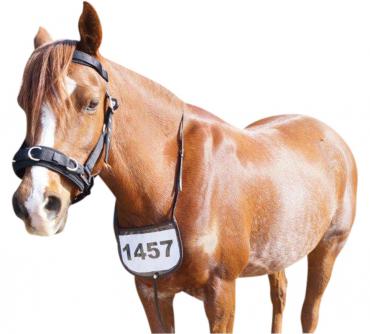 Number Holder Leather Brown-HORSE: Number Holders-Ascot Saddlery