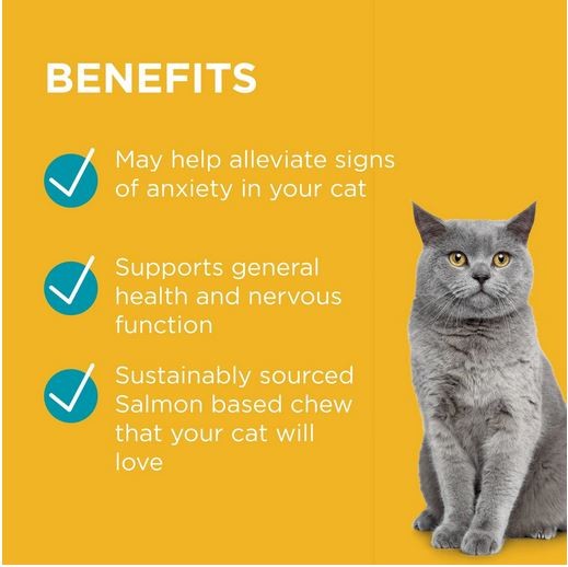 Paw Complete Calm Cats 63 Chews 75gm-Cat Potions & Lotions-Ascot Saddlery