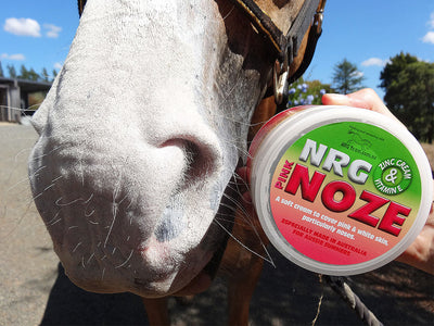 Pink Noze Zinc Cream Nrg 400gm-STABLE: First Aid & Dressings-Ascot Saddlery