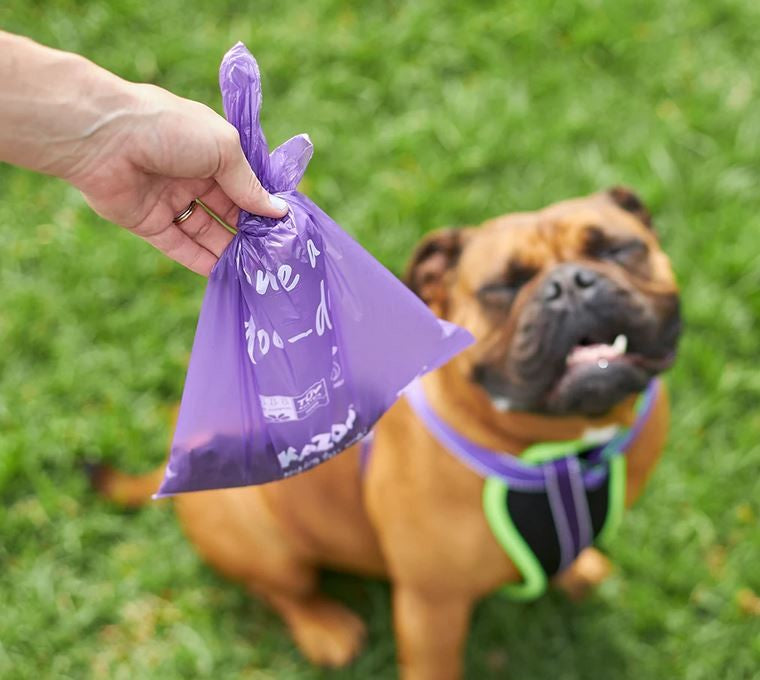 Poo Bag Kazoo Eco 100pack-Dog Walking-Ascot Saddlery