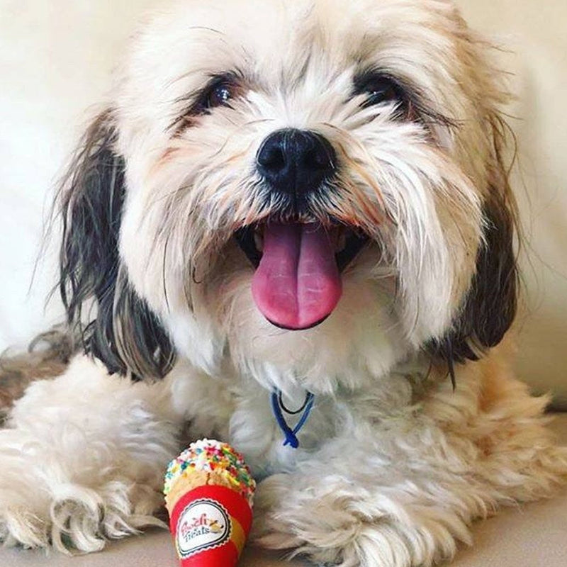Pooch Doggy Ice Cream Cones-Dog Treats-Ascot Saddlery