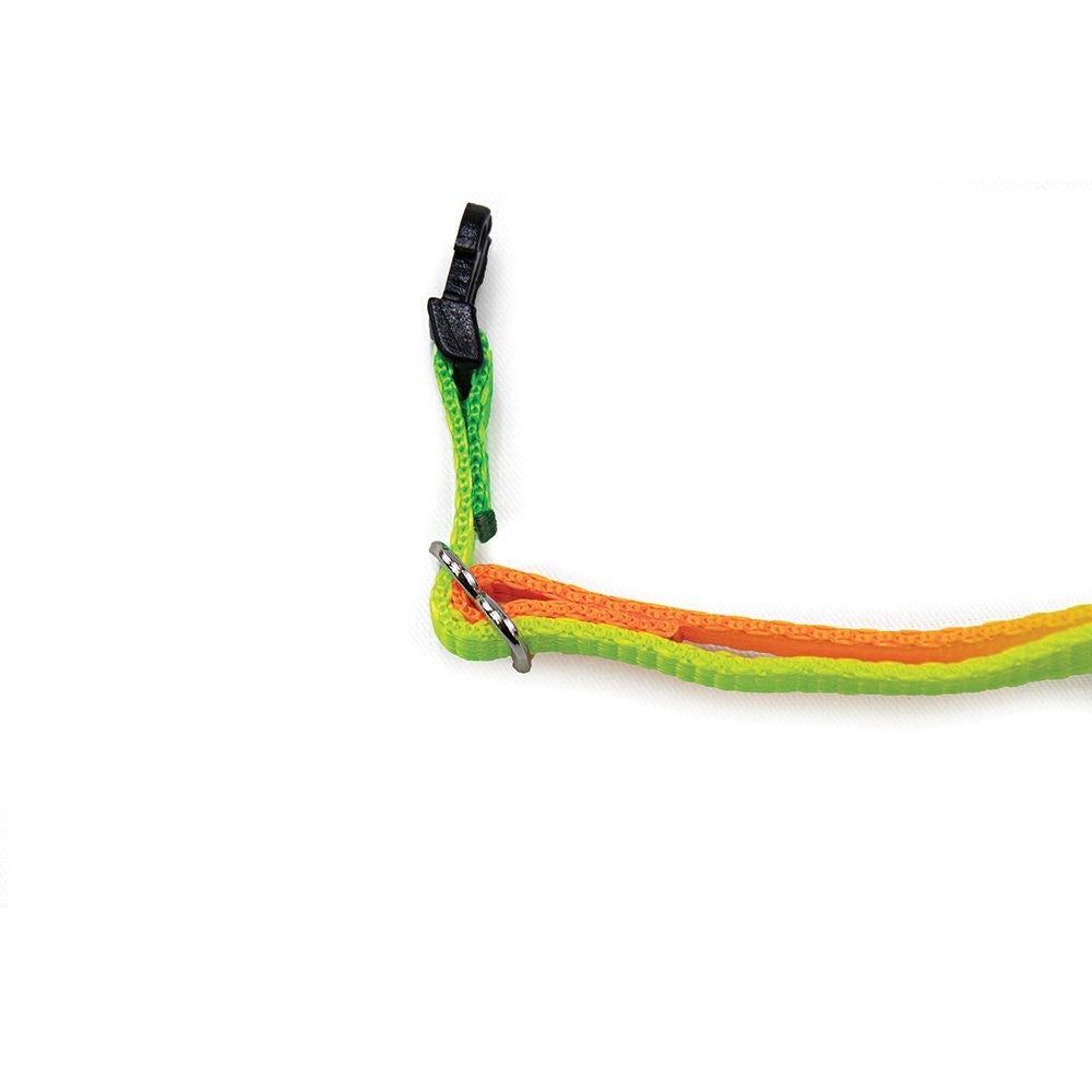 Prestige Cat Collar Rainbow 3/8" Adjustable 13cm-25cm-Cat Accessories-Ascot Saddlery