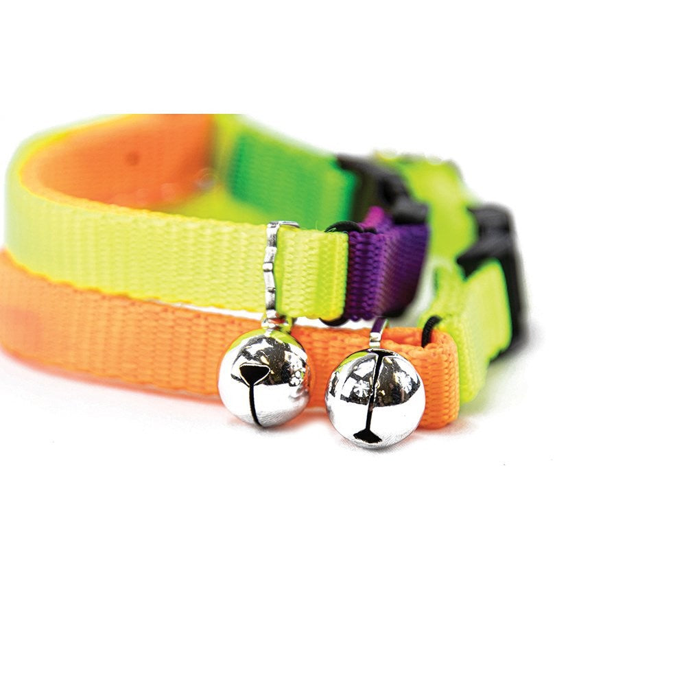 Prestige Cat Collar Rainbow 3/8" Adjustable 13cm-25cm-Cat Accessories-Ascot Saddlery