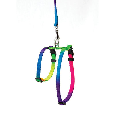 Prestige Cat Harness & Leash Rainbow 3/8" Adjustable-Cat Accessories-Ascot Saddlery