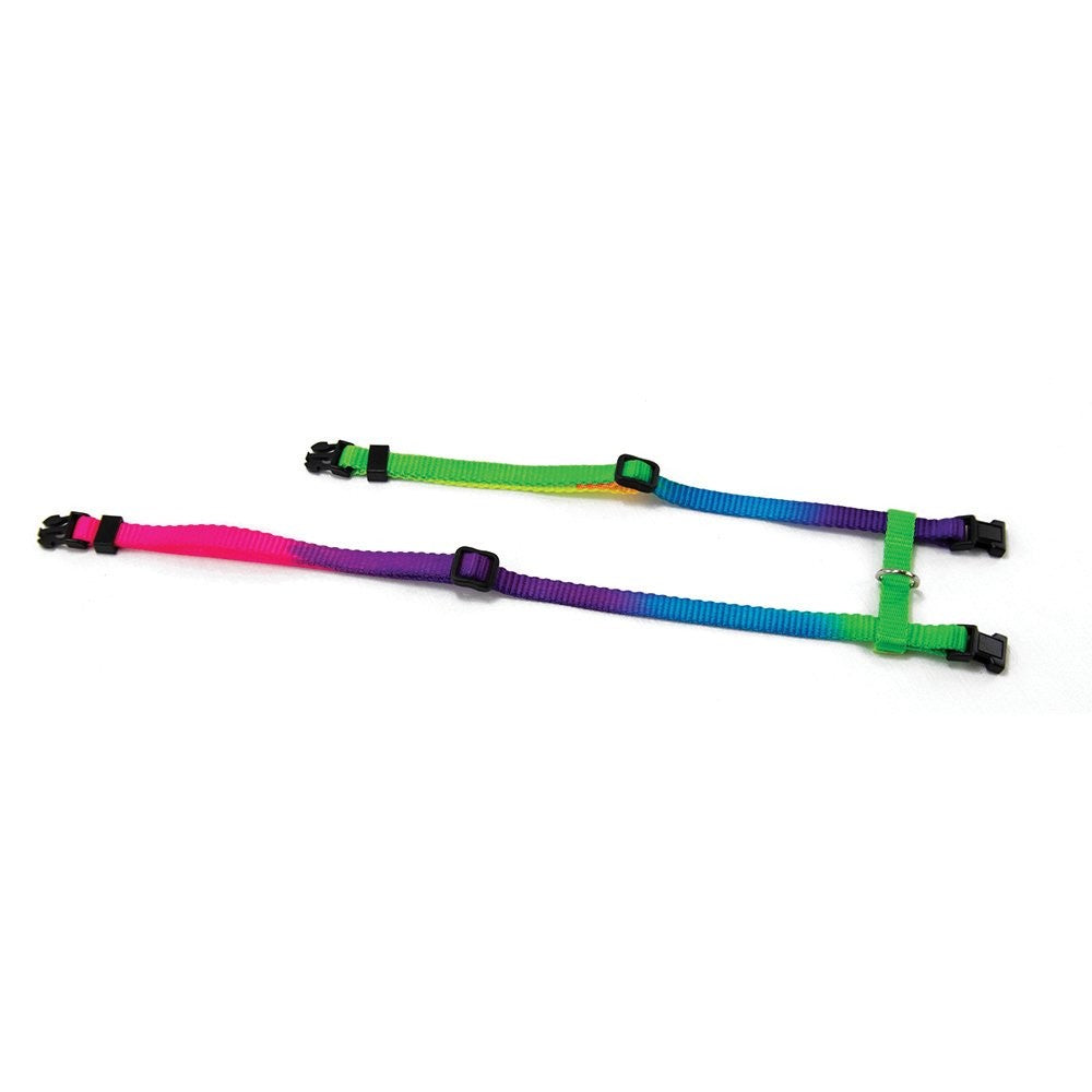 Prestige Cat Harness & Leash Rainbow 3/8" Adjustable-Cat Accessories-Ascot Saddlery
