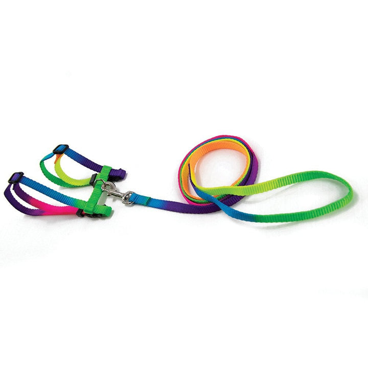 Prestige Cat Harness & Leash Rainbow 3/8" Adjustable-Cat Accessories-Ascot Saddlery
