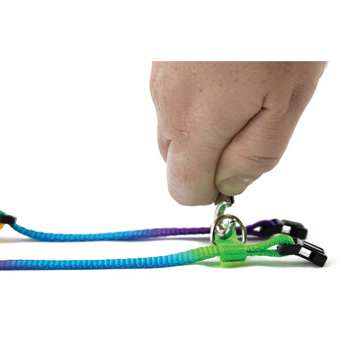 Prestige Cat Harness & Leash Rainbow 3/8" Adjustable-Cat Accessories-Ascot Saddlery