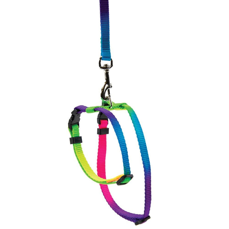 Prestige Cat Harness & Leash Rainbow 3/8" Adjustable-Cat Accessories-Ascot Saddlery