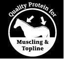 Prydes Easi Prep Conditioner 25kg-STABLE: Horse Feed-Ascot Saddlery