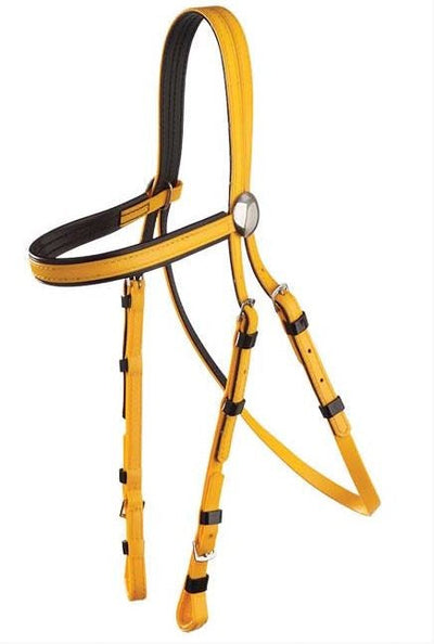 Pvc Bridle Head Full Yellow & Black Trim-HORSE: Racing & PVC-Ascot Saddlery