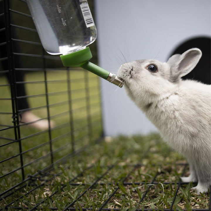 Rabbit Drink Bottle 800ml Kazoo-Small Animal-Ascot Saddlery