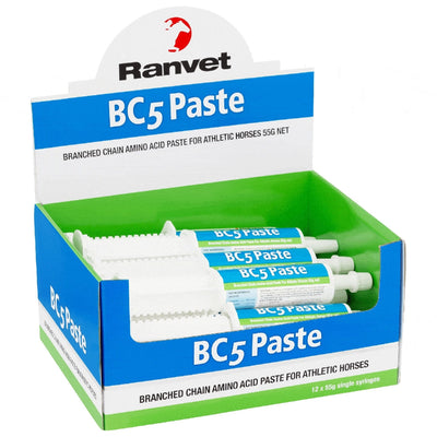 Ranvet Bc5 Amino Acid Paste 55gm-STABLE: Supplements-Ascot Saddlery