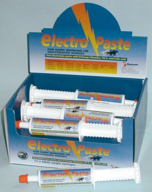 Ranvet Electro Paste 60gm-STABLE: Supplements-Ascot Saddlery